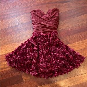 Size 2 women’s Burgundy rose mini dress